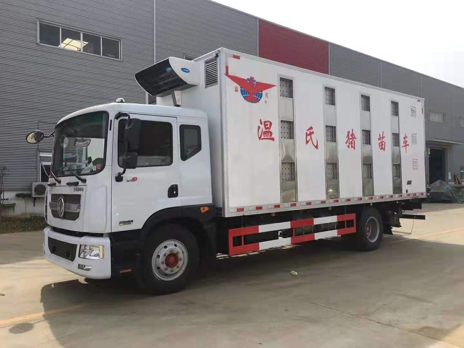 d91.jpg